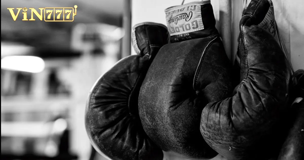 Cá Cược Boxing Online & Mẹo Chơi Hay Húp Tiền Tỷ 2 Tìm hiểu về cá cược Boxing online tại Vin777