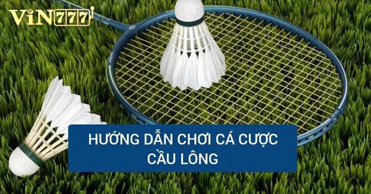Tìm Hiểu Hình Thức Cá Cược Cầu Lông Dành Cho Tân Binh 4 Hướng dẫn chơi cá cược cầu lông tại nhà cái Vin777